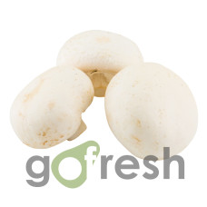 Ciuperci Champignon 1kg